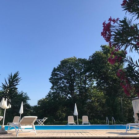 Appartamento Lussuoso 2 In Villa Riccardo Barga Dış mekan fotoğraf